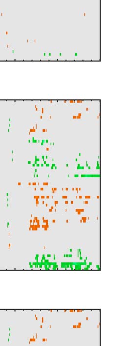 The Formation of Symmetrical Gestalts Is image