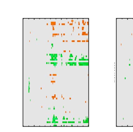 The Formation of Symmetrical Gestalts Is image