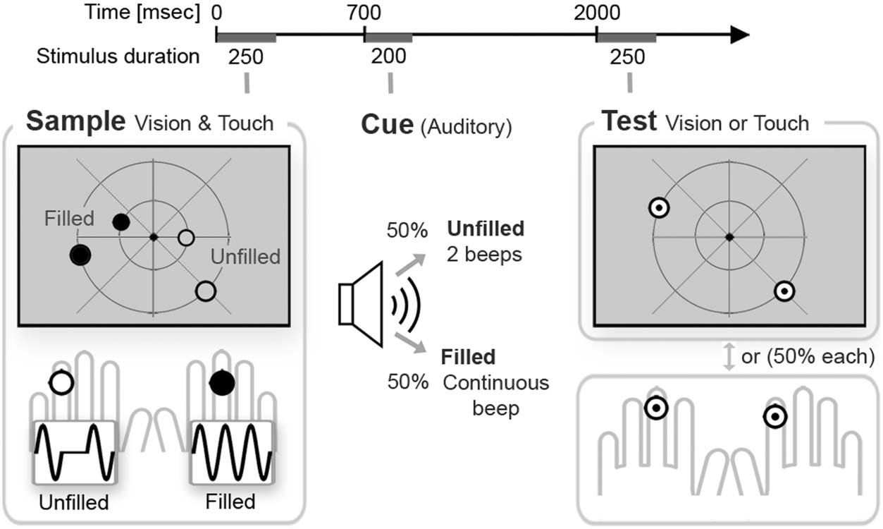 Retrospective Selection in Visual and image