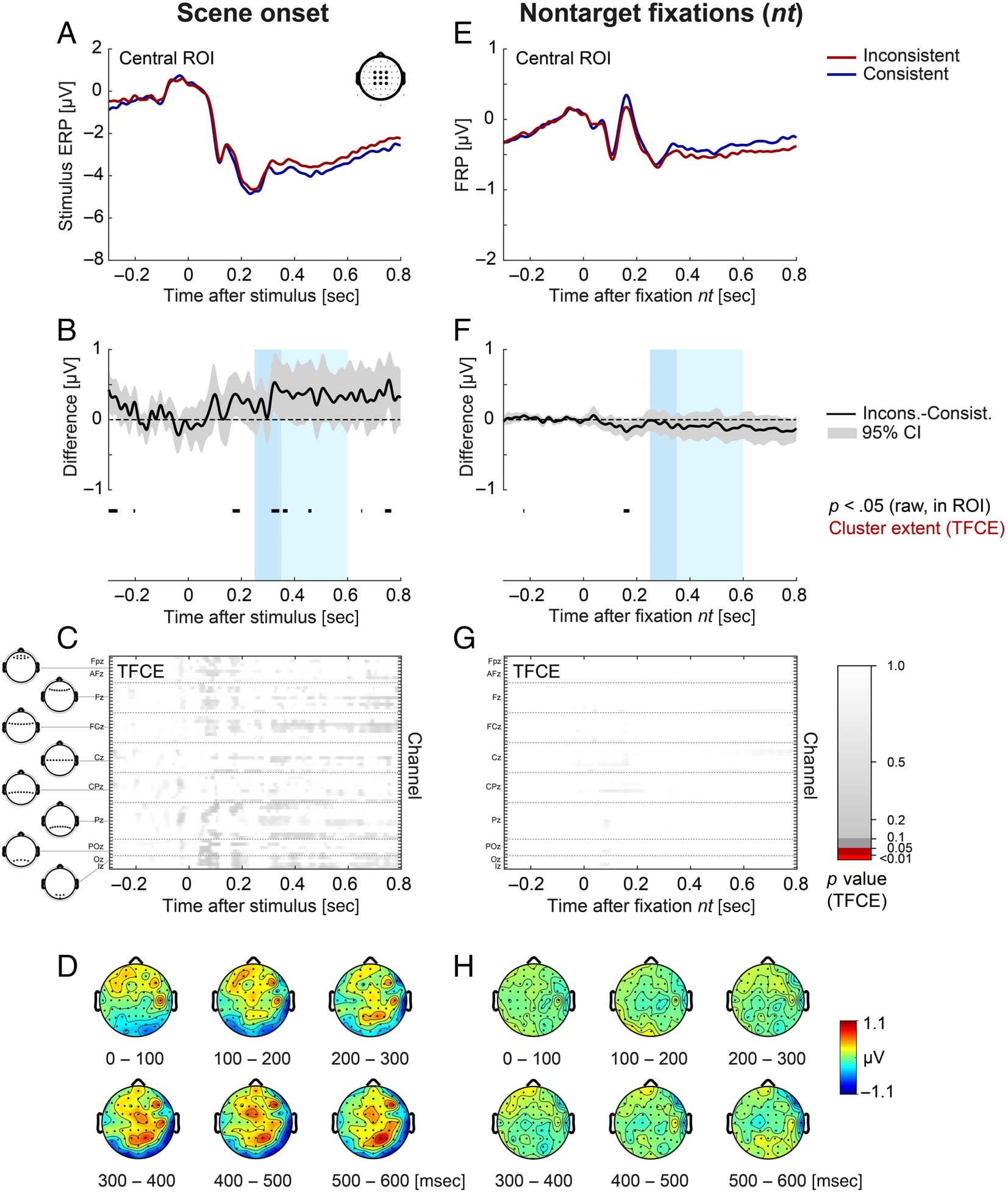 Fixation-related Brain Potentials during Semantic image