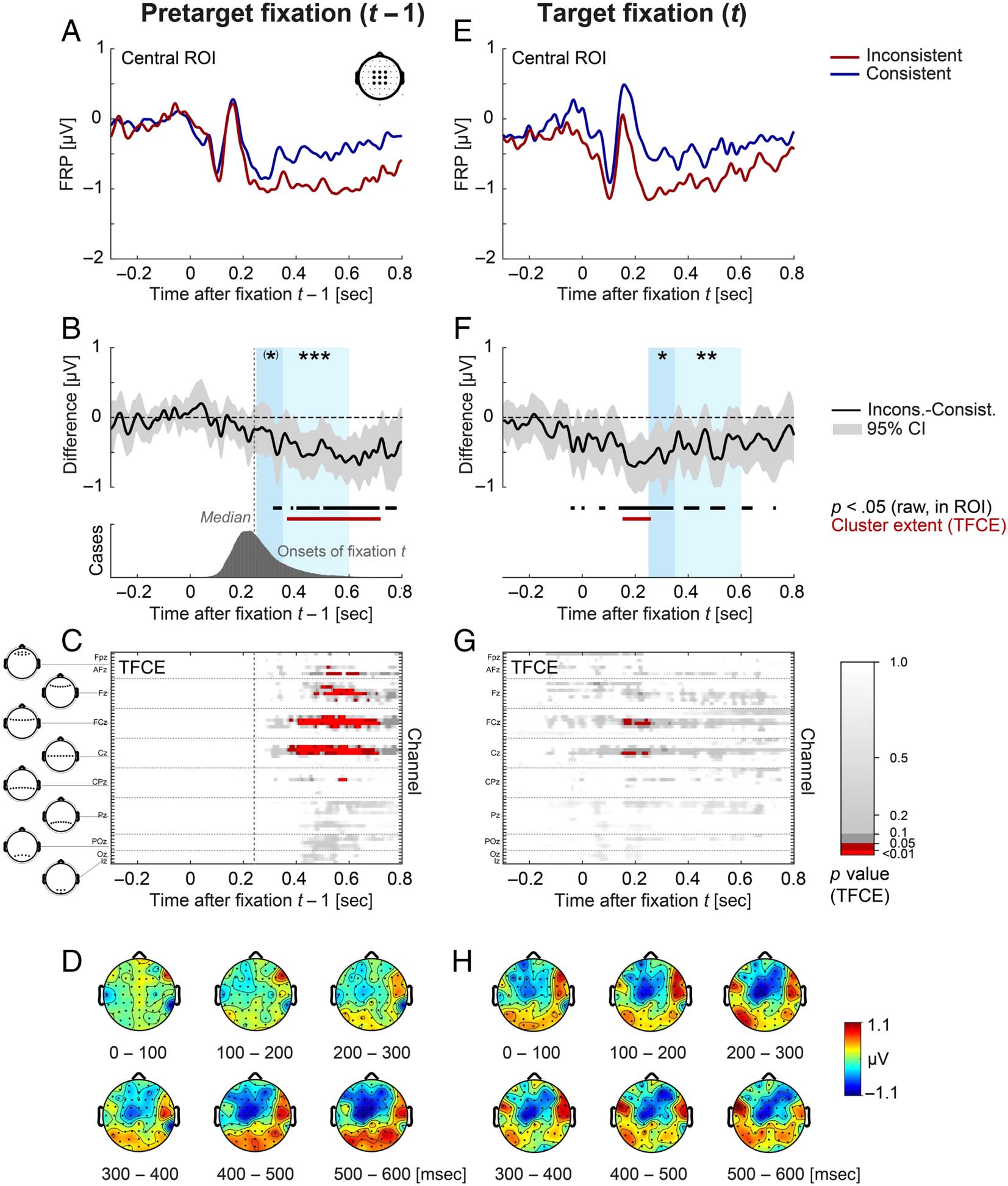 Fixation-related Brain Potentials during Semantic image