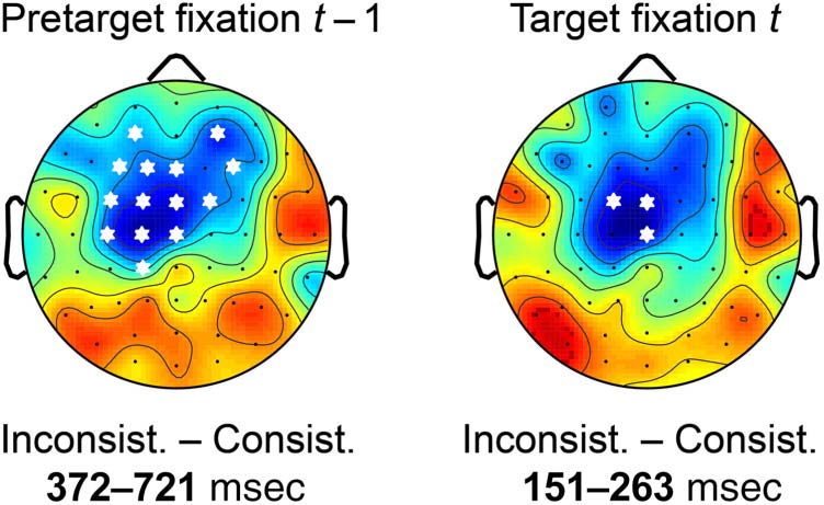 Fixation-related Brain Potentials during Semantic image