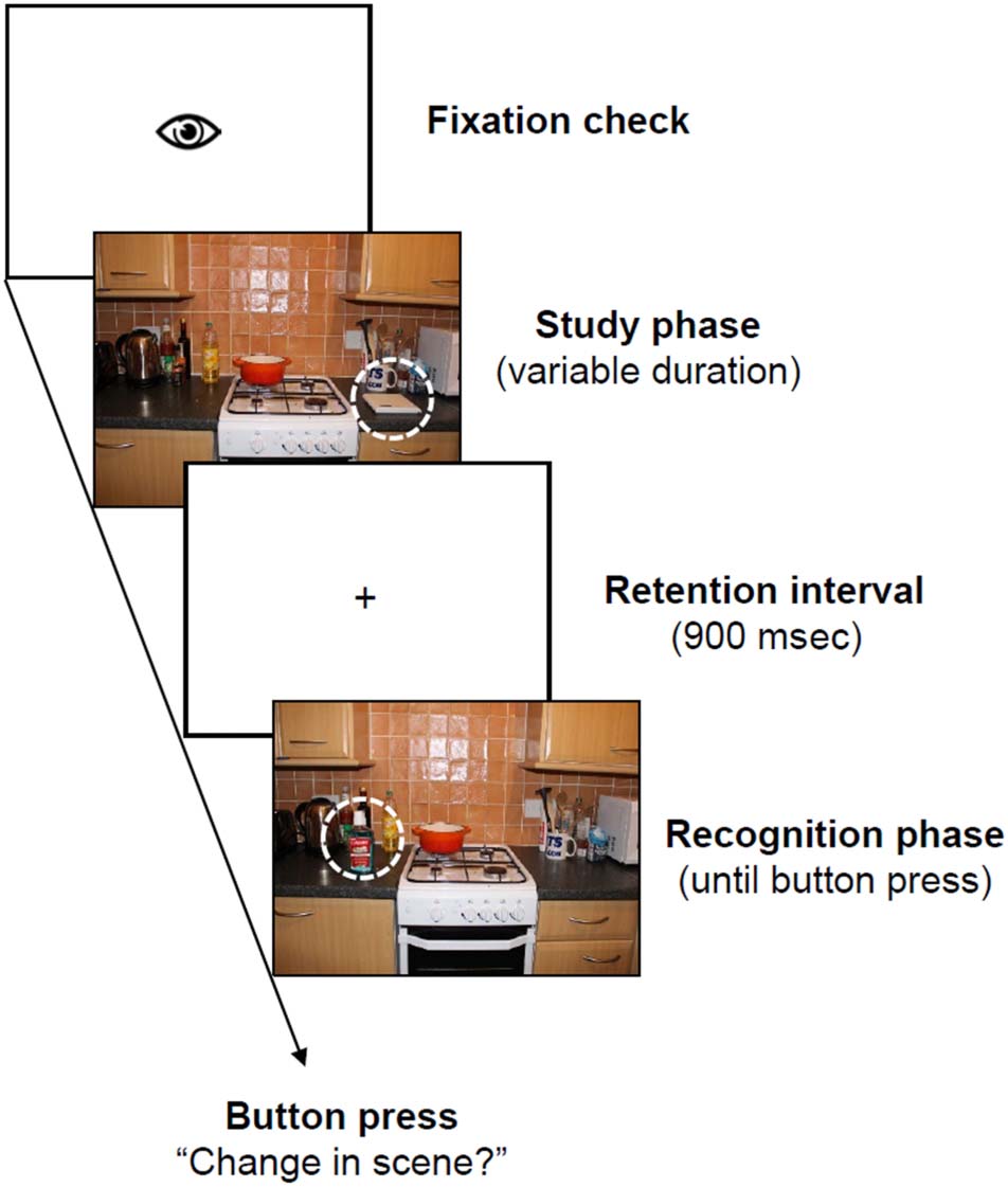 Fixation-related Brain Potentials during Semantic image