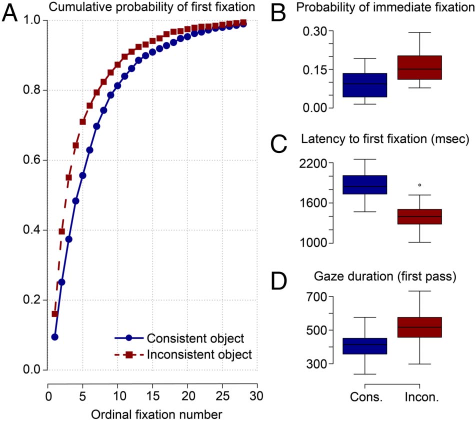 Fixation-related Brain Potentials during Semantic image