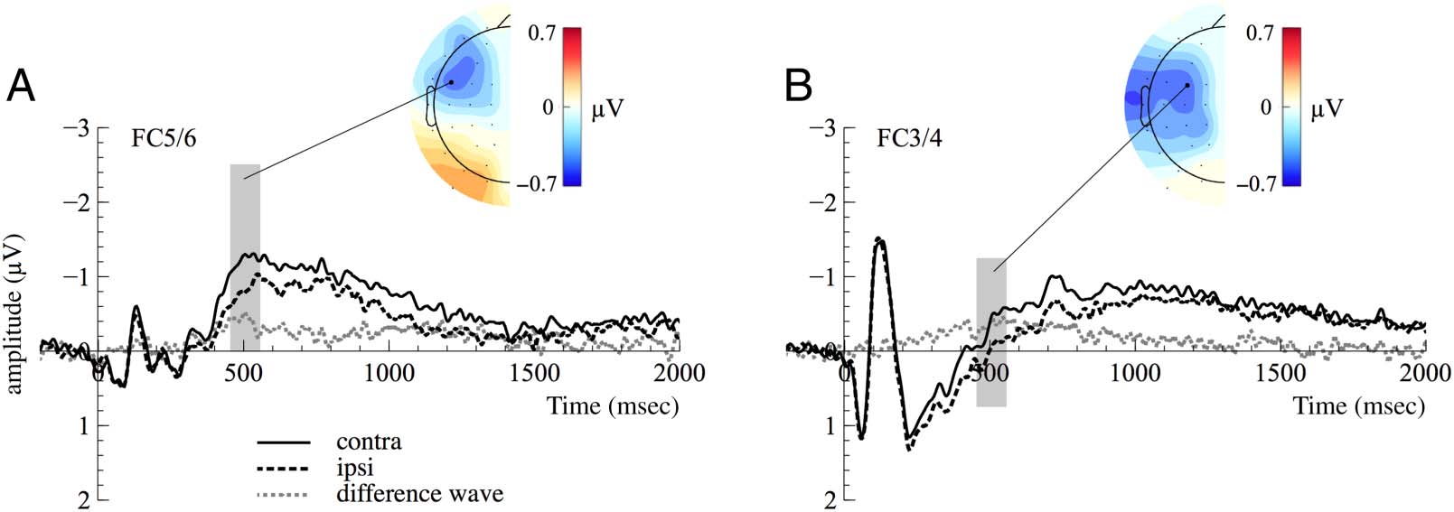 Unraveling the Relation between EEG Correlates image