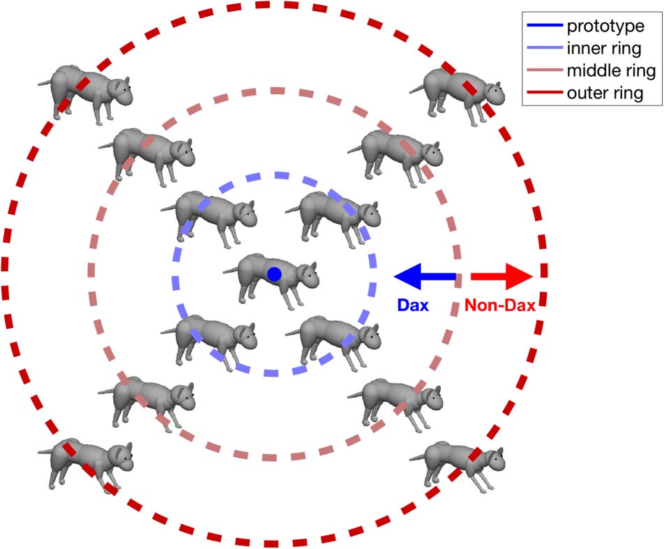 Cortical Transformation of Stimulus Space in Order image