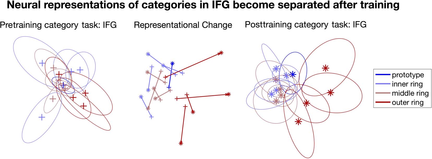 Cortical Transformation of Stimulus Space in Order image