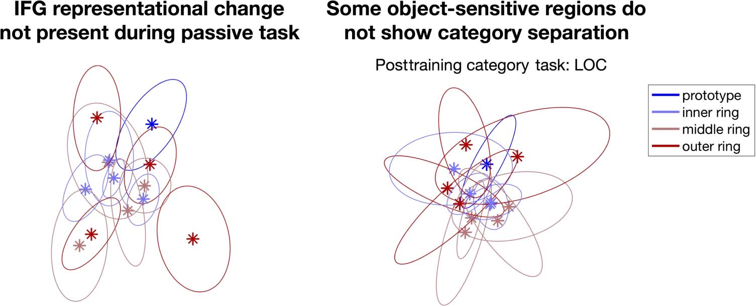 Cortical Transformation of Stimulus Space in Order image