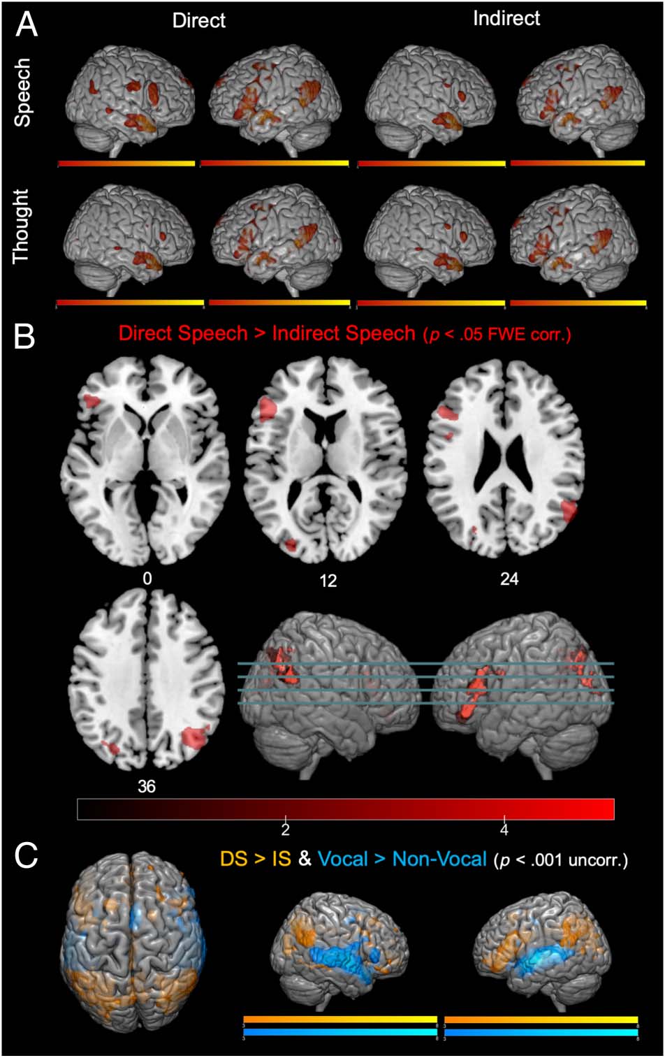 Processing Speech and Thoughts during Silent Reading: image