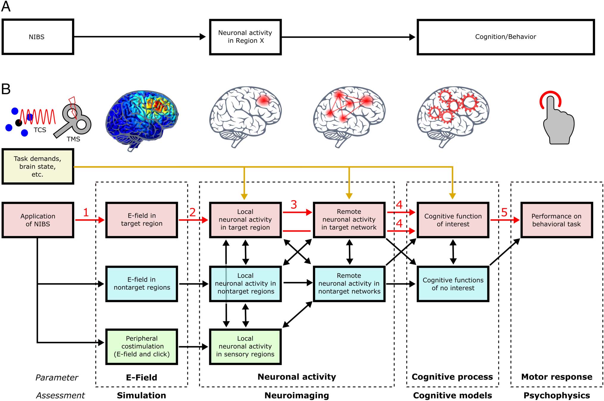 Inferring Causality from Noninvasive Brain Stimulation in image