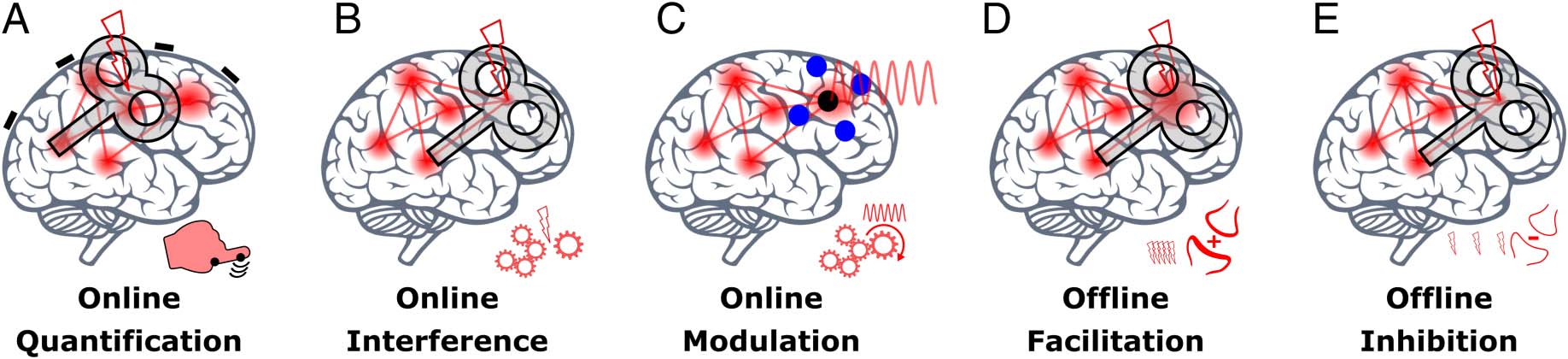 Inferring Causality from Noninvasive Brain Stimulation in image