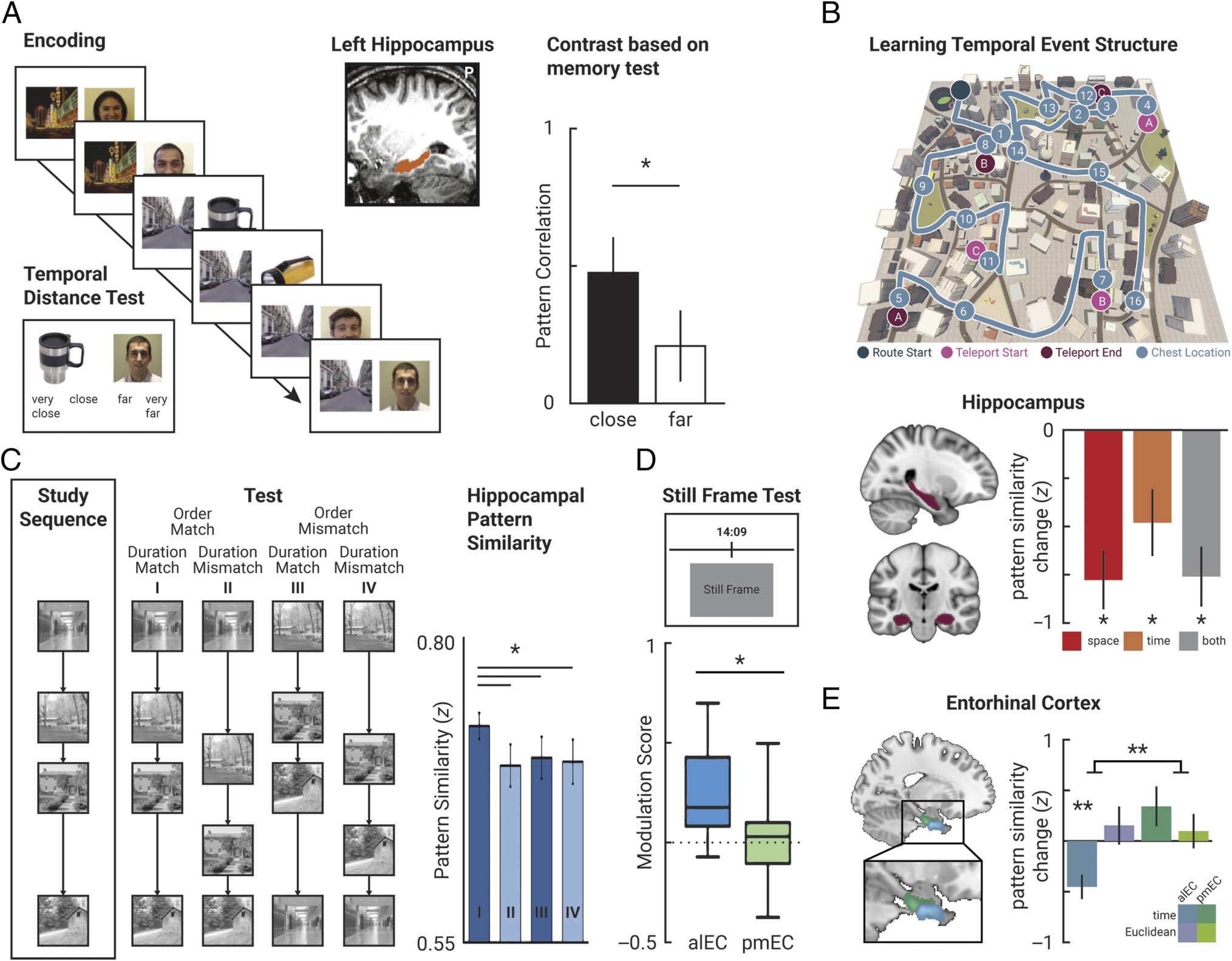 Sequence Memory in the Hippocampal–Entorhinal Region image