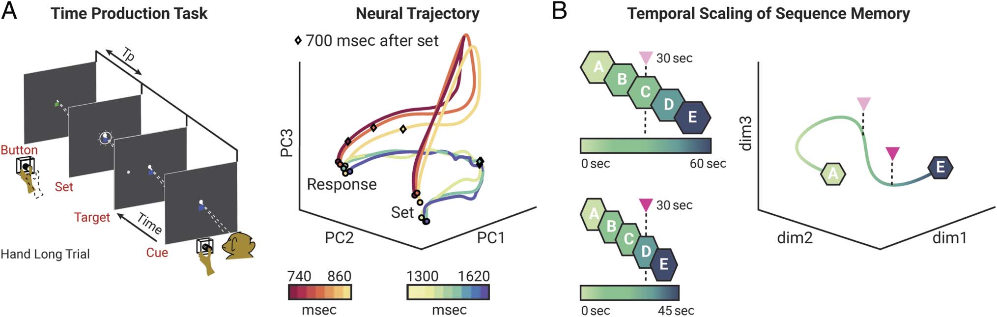 Sequence Memory in the Hippocampal–Entorhinal Region image