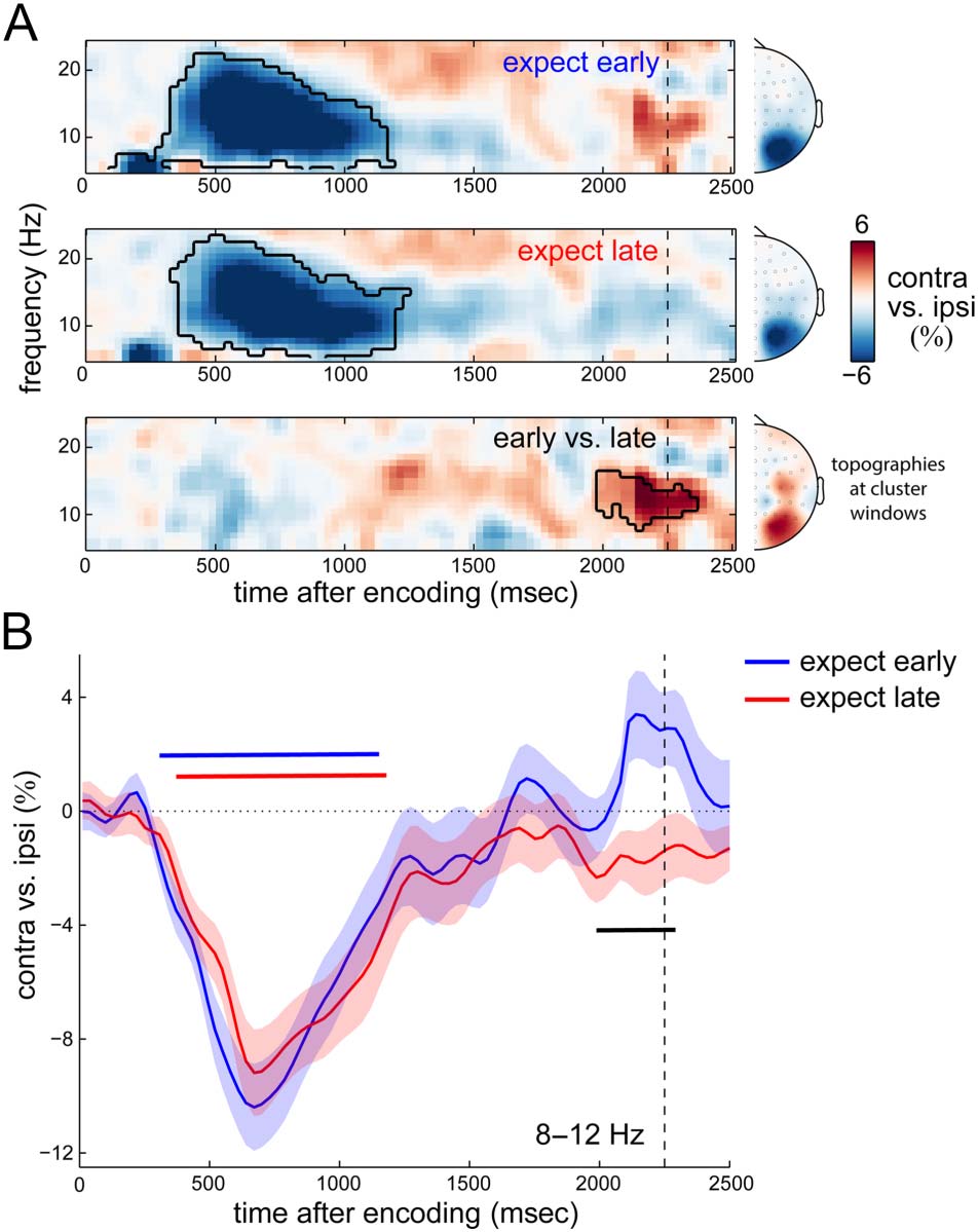 Temporal Expectations Prepare Visual image