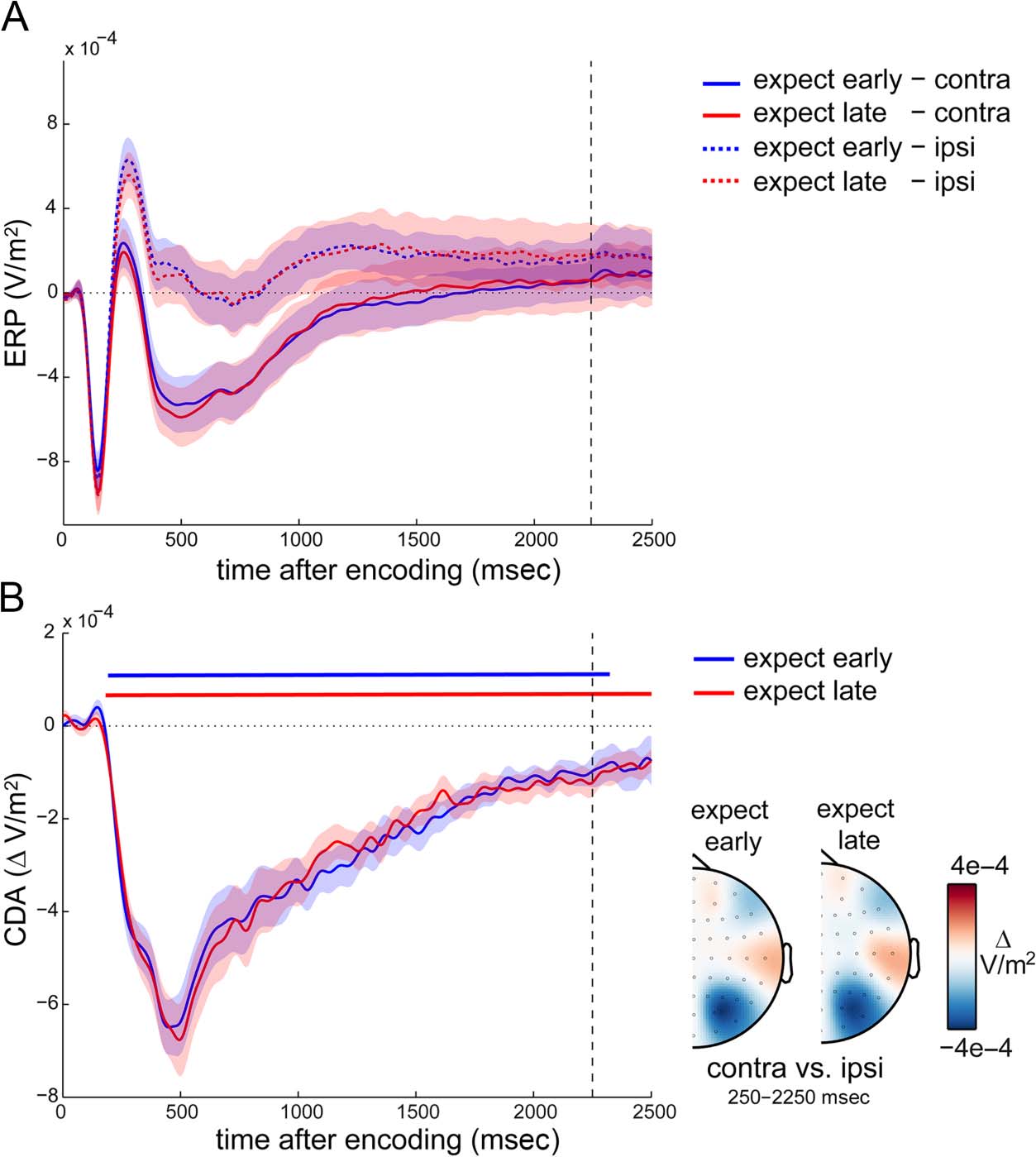 Temporal Expectations Prepare Visual image