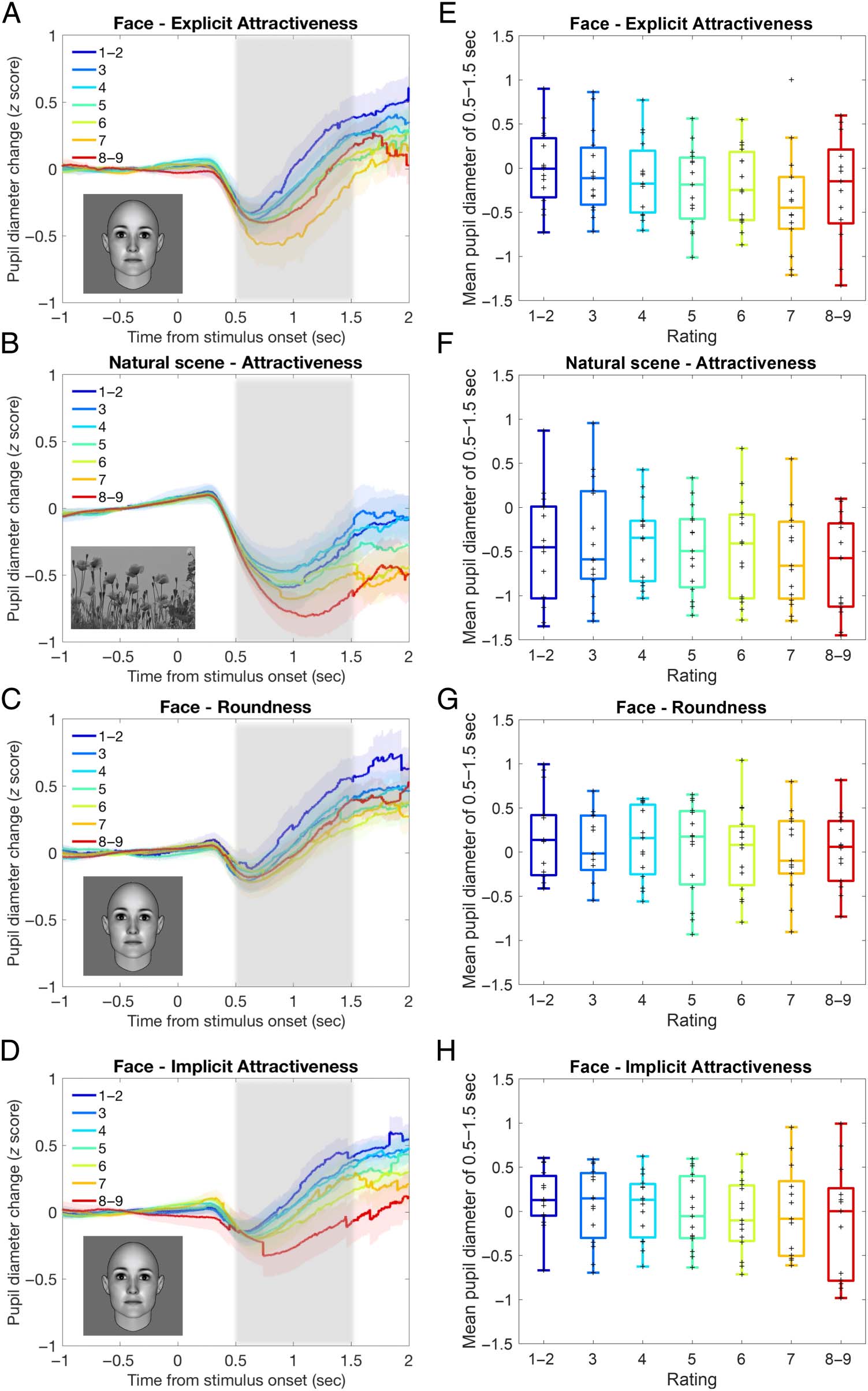 Attractiveness in the Eyes: A Possibility of image