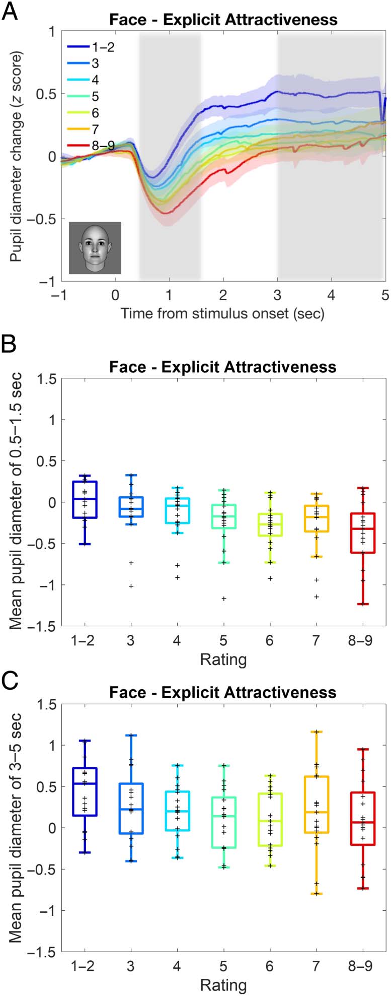 Attractiveness in the Eyes: A Possibility of image