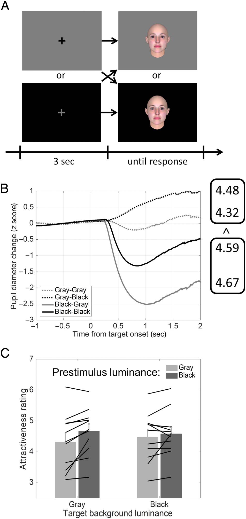 Attractiveness in the Eyes: A Possibility of image