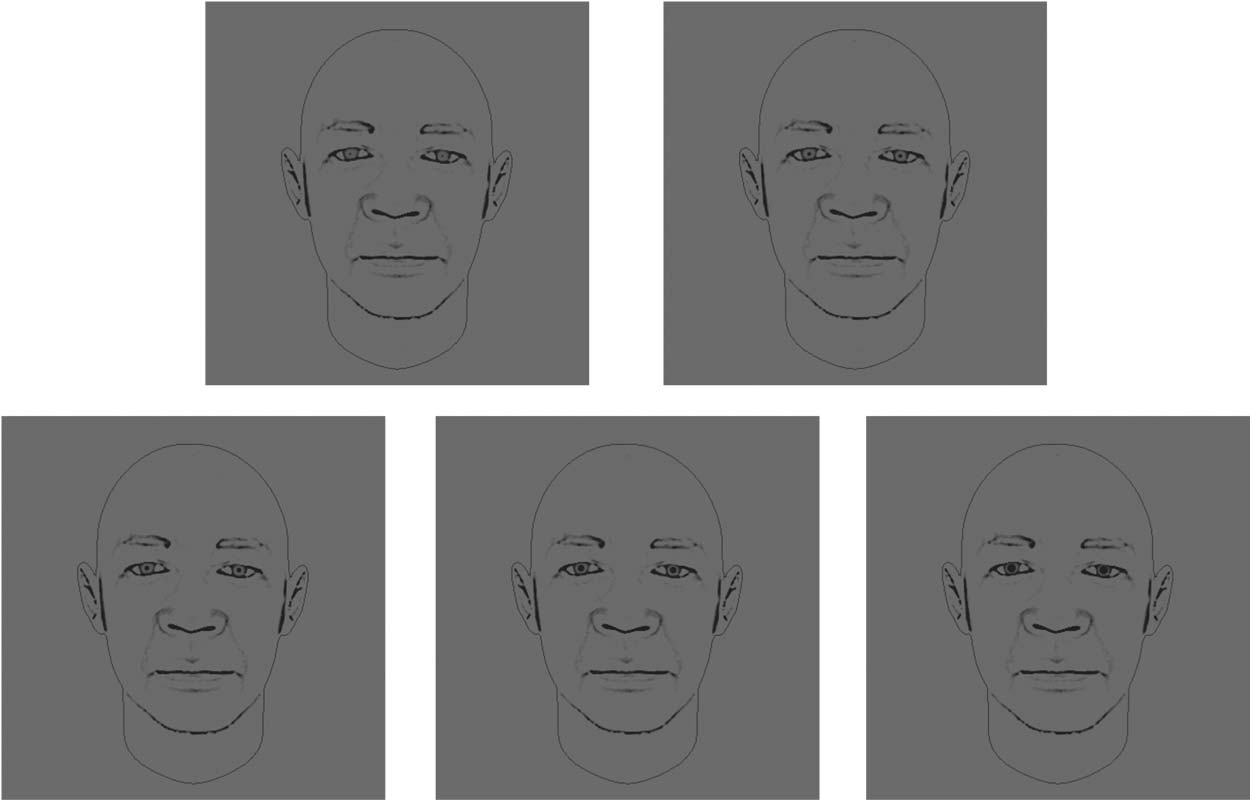 Attractiveness in the Eyes: A Possibility of image