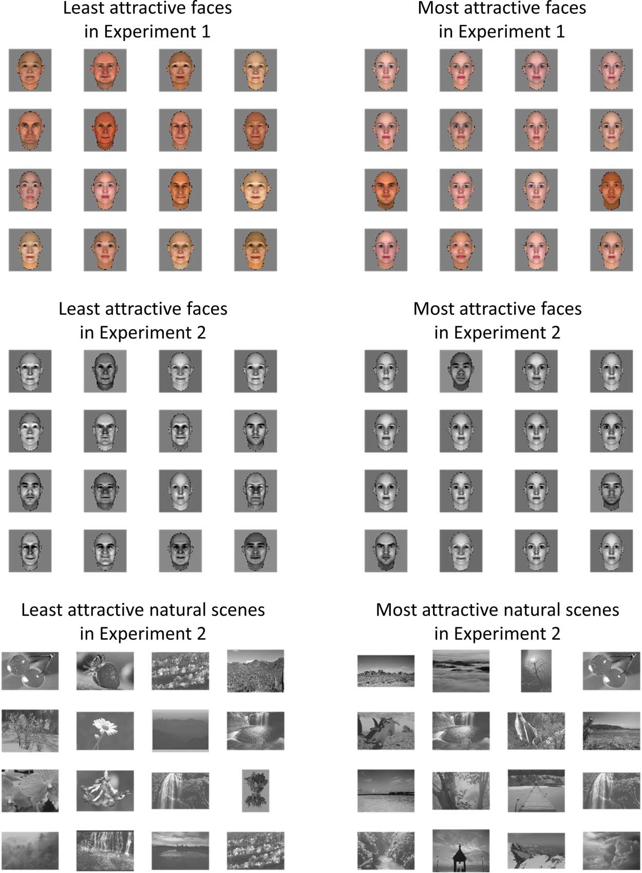 Attractiveness in the Eyes: A Possibility of image