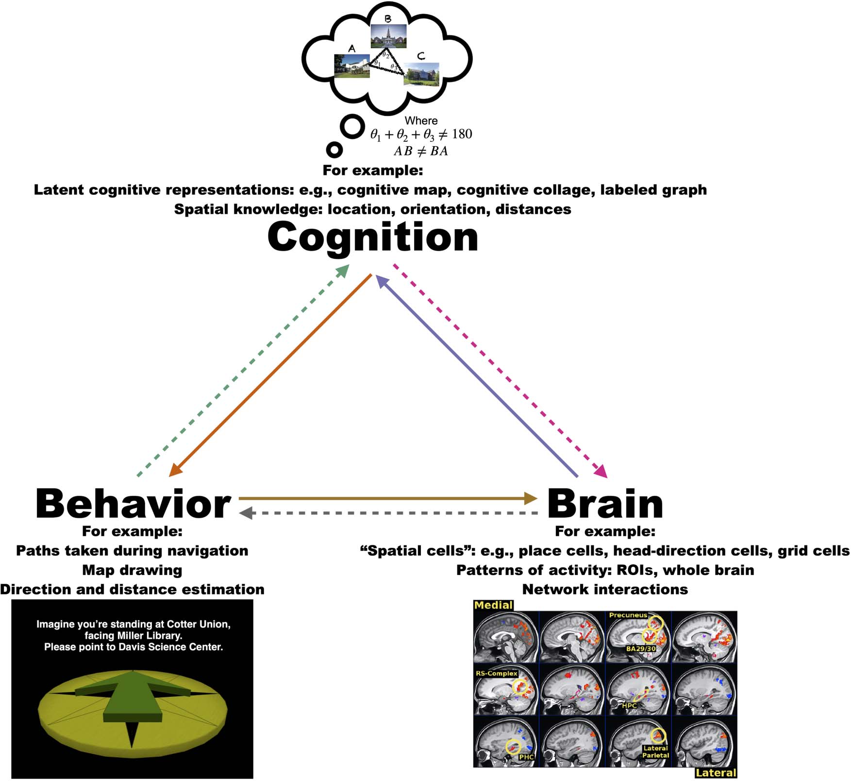 An Important Step toward Understanding the Role of image