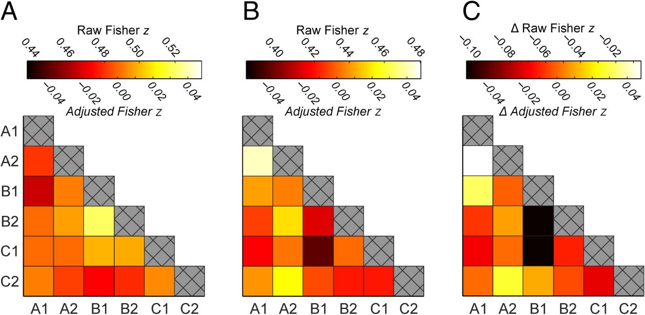 Tracking the Emergence of Location-based Spatial image