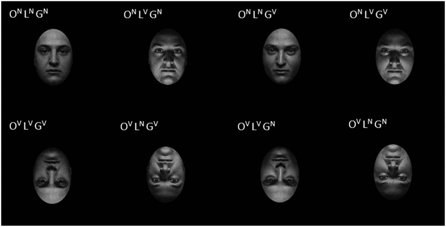 Turning the Face Inversion Effect on Its Head: imagen