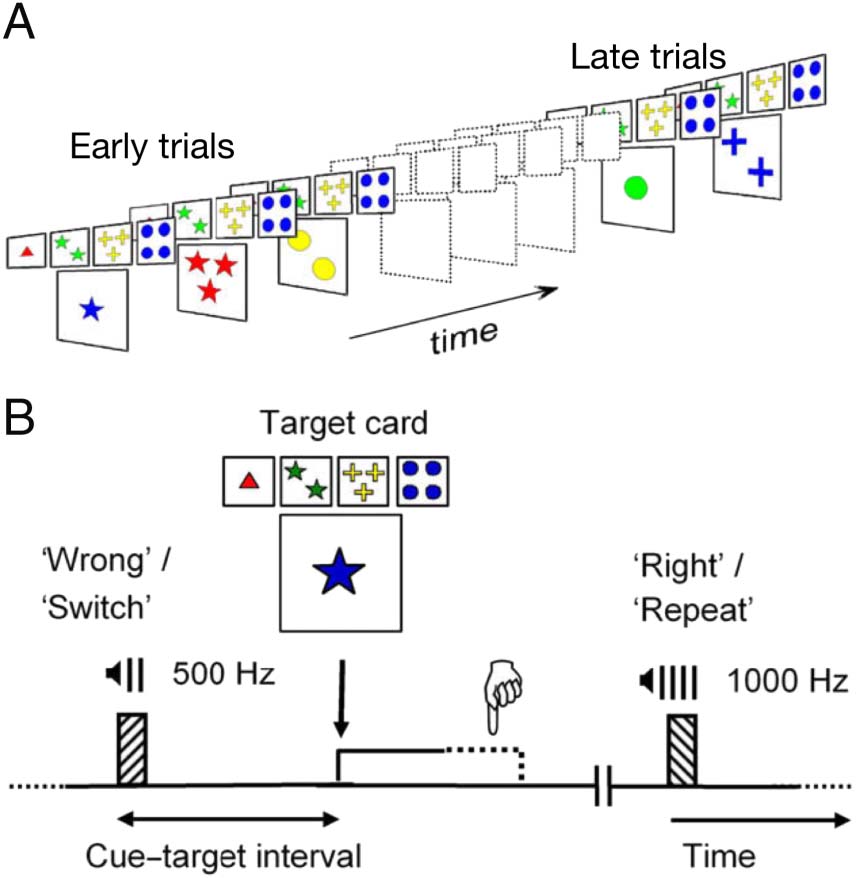 A Predictive Processing Account of Card Sorting: Fast image