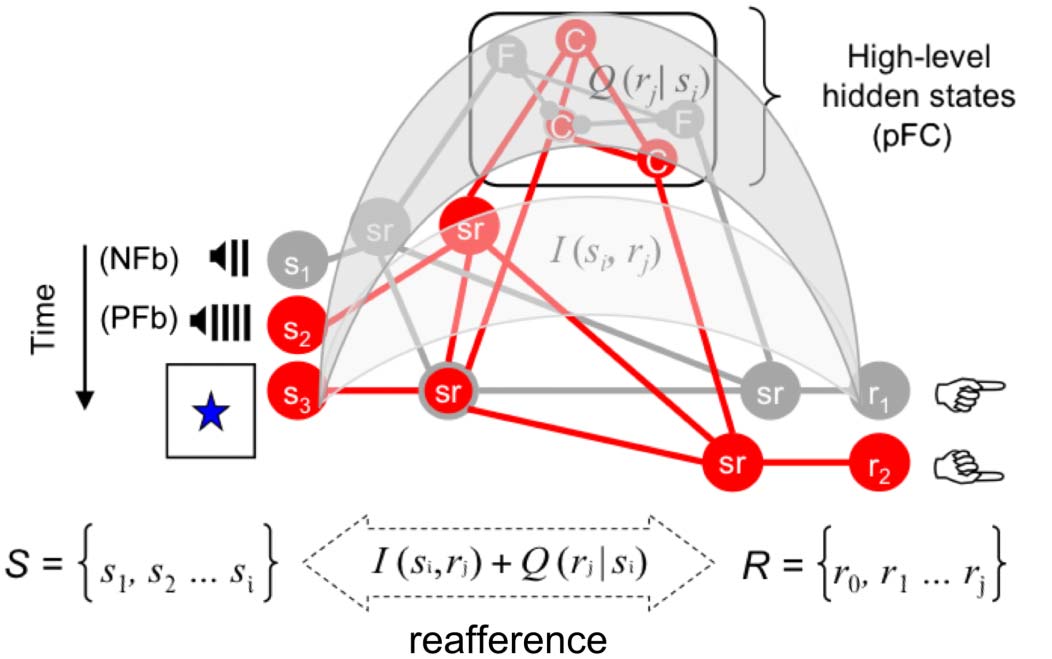 A Predictive Processing Account of Card Sorting: Fast image