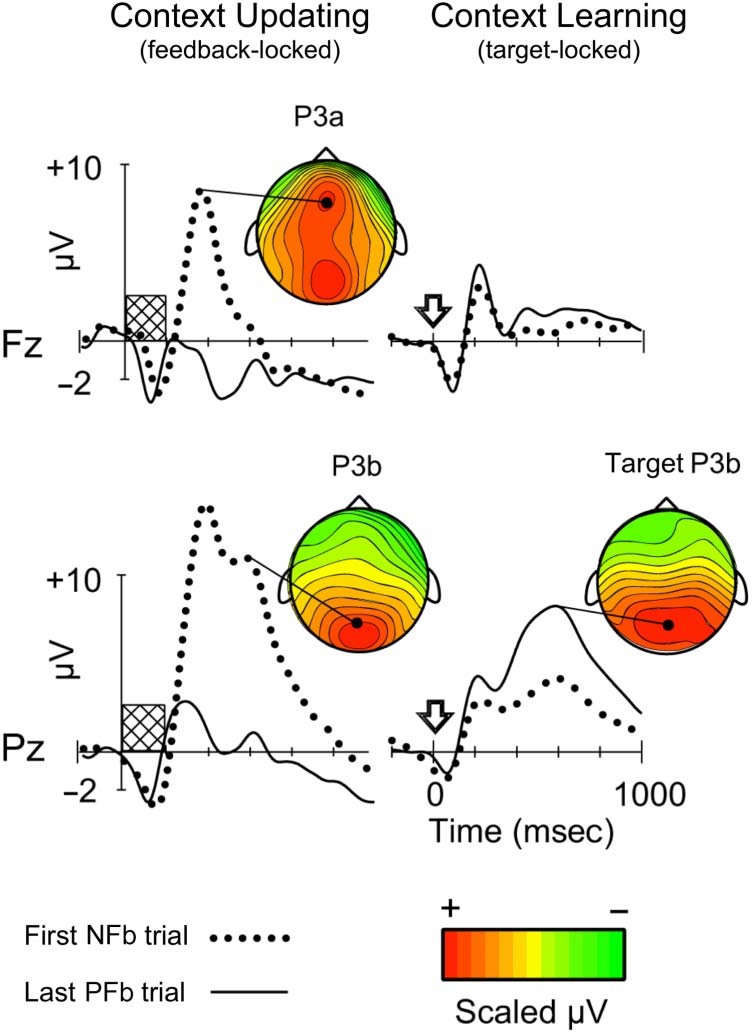 A Predictive Processing Account of Card Sorting: Fast image