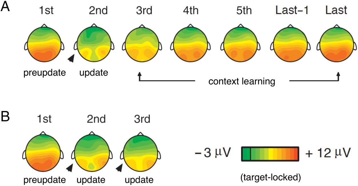 A Predictive Processing Account of Card Sorting: Fast image