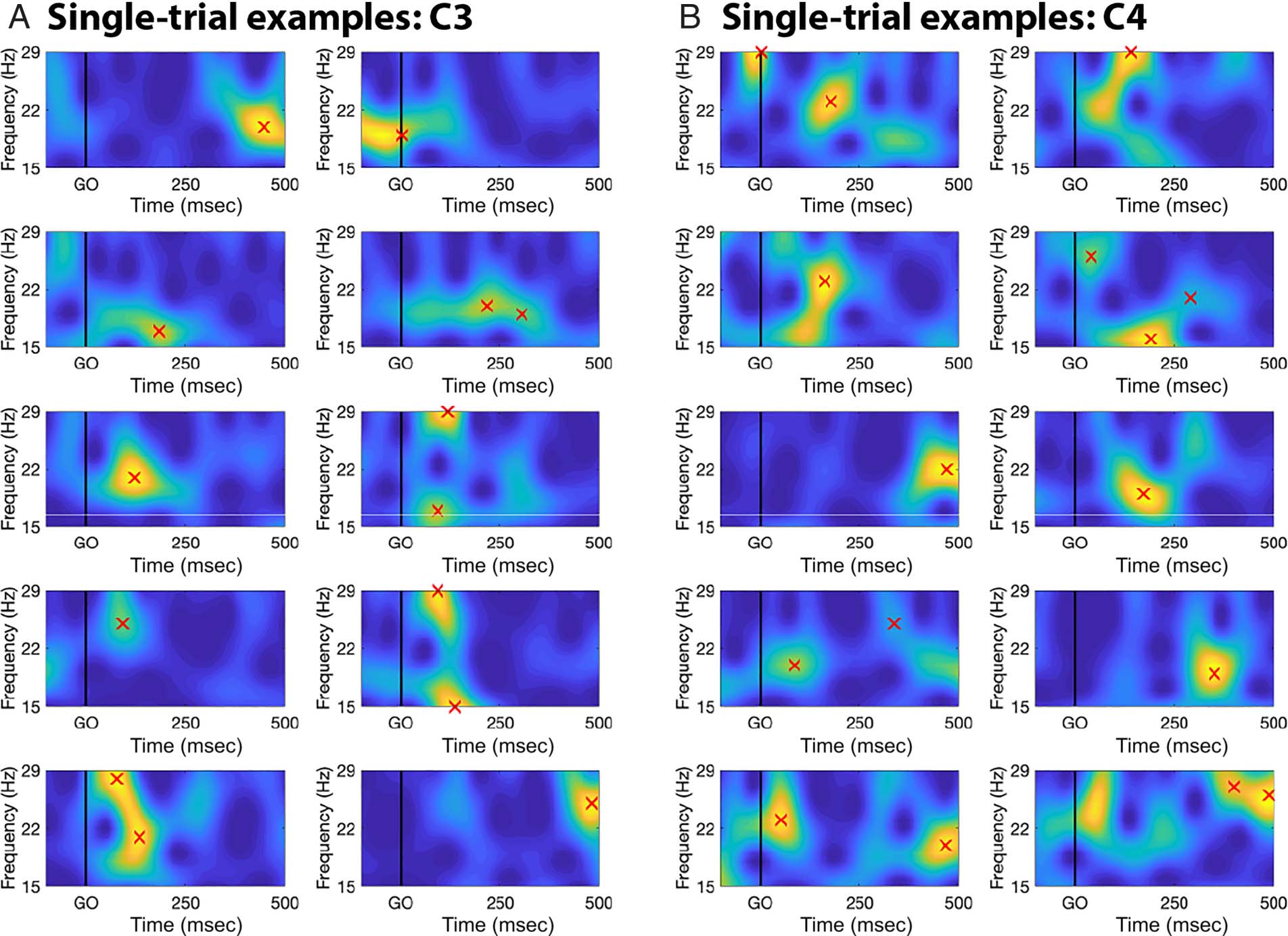 Adjustments to Proactive Motor Inhibition without image