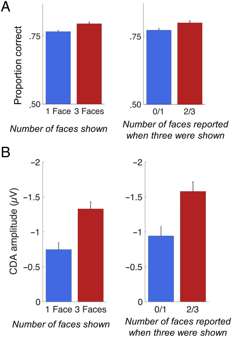 Greater Visual Working Memory Capacity for image