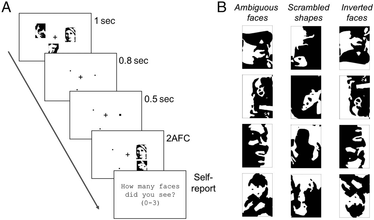 Greater Visual Working Memory Capacity for image