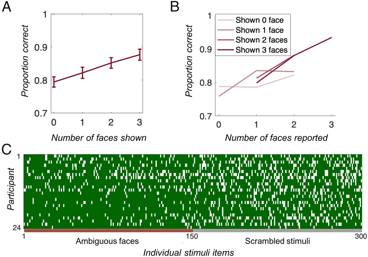 Greater Visual Working Memory Capacity for image