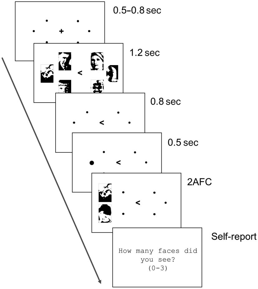 Greater Visual Working Memory Capacity for image