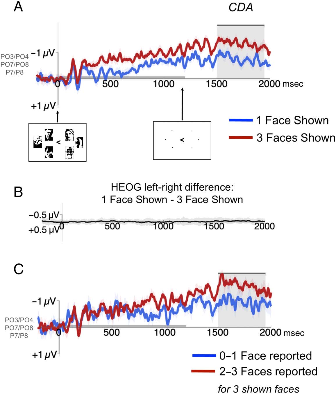 Greater Visual Working Memory Capacity for image