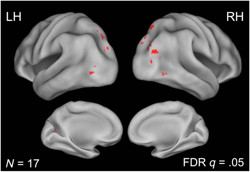 Functional Context Affects Scene Processing image