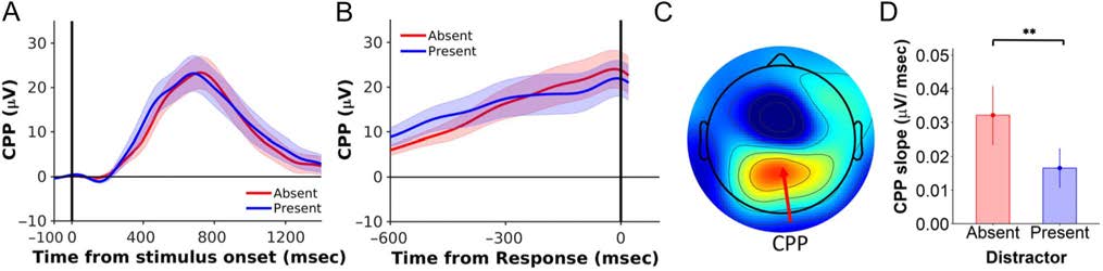 Distractors Selectively Modulate Electrophysiological image