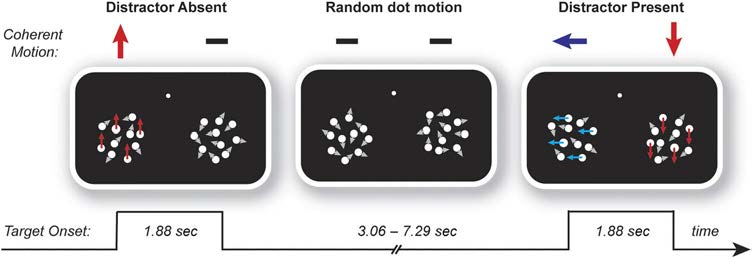 Distractors Selectively Modulate Electrophysiological image