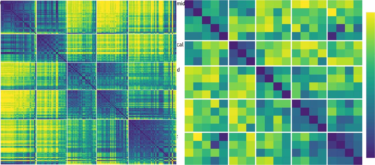 Deep Predictive Learning in Neocortex and Pulvinar image