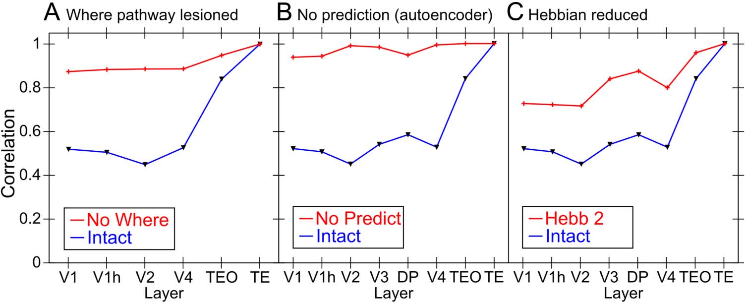 Deep Predictive Learning in Neocortex and Pulvinar image