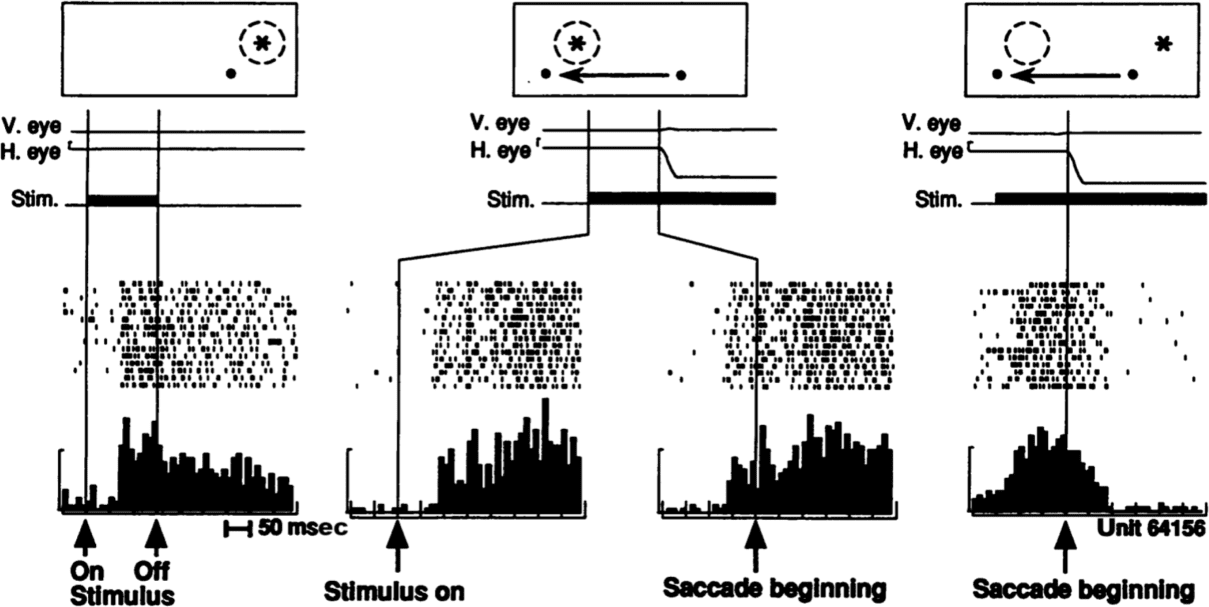 Deep Predictive Learning in Neocortex and Pulvinar image