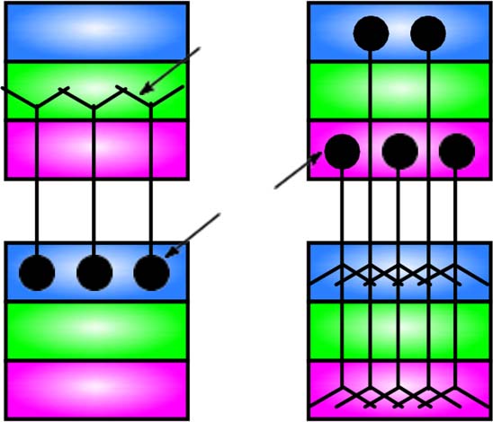 Deep Predictive Learning in Neocortex and Pulvinar image