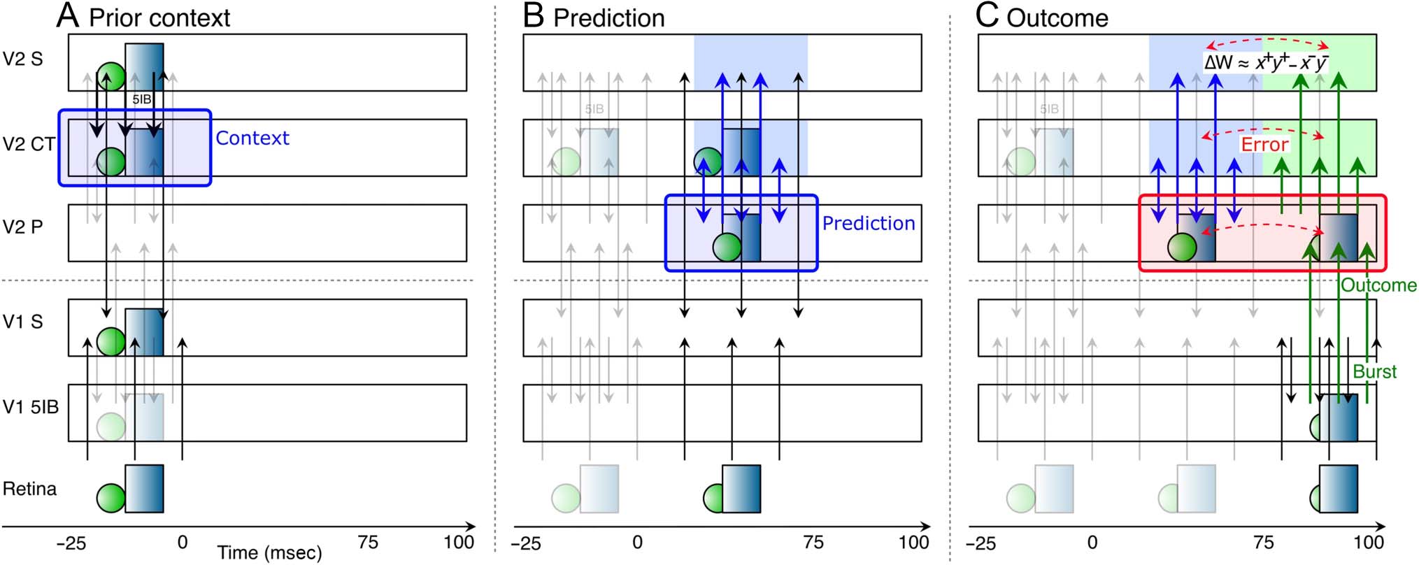 Deep Predictive Learning in Neocortex and Pulvinar image