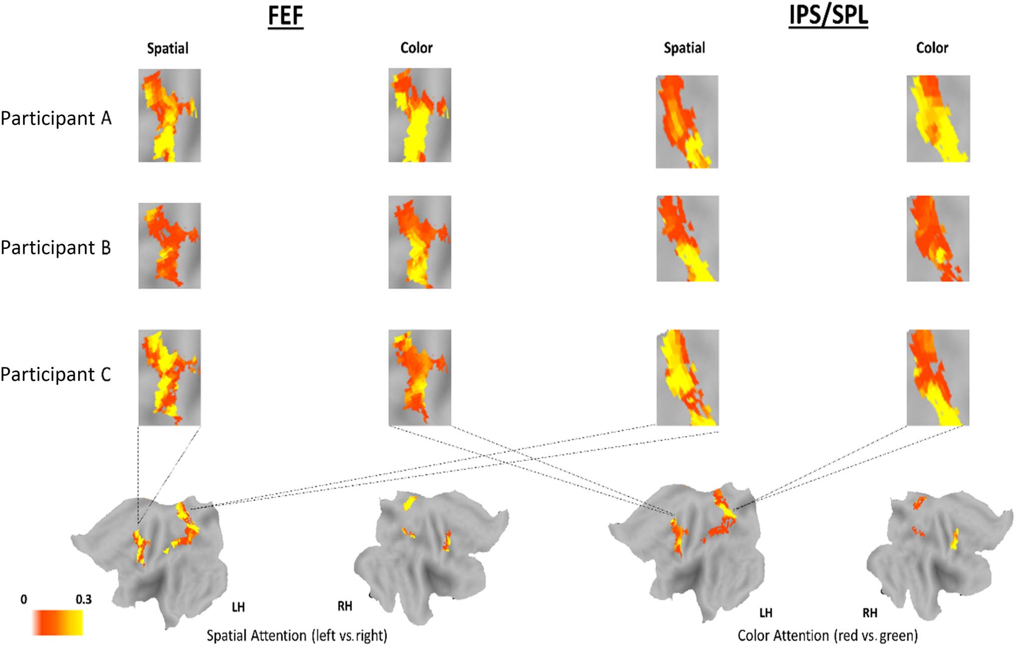 The Microstructure of Attentional Control in the image