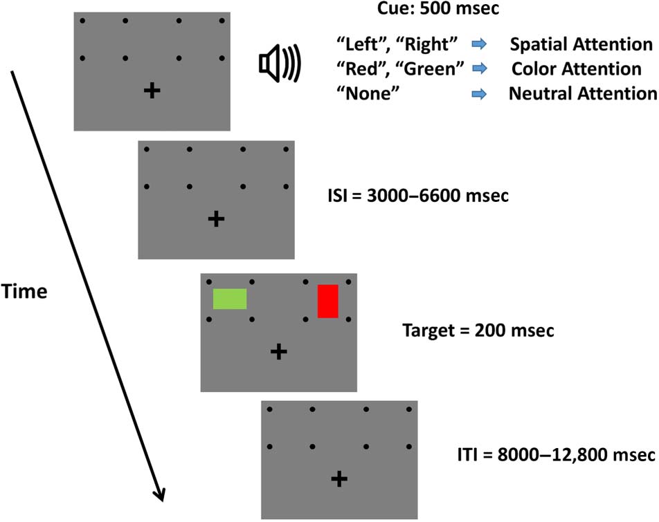 The Microstructure of Attentional Control in the image