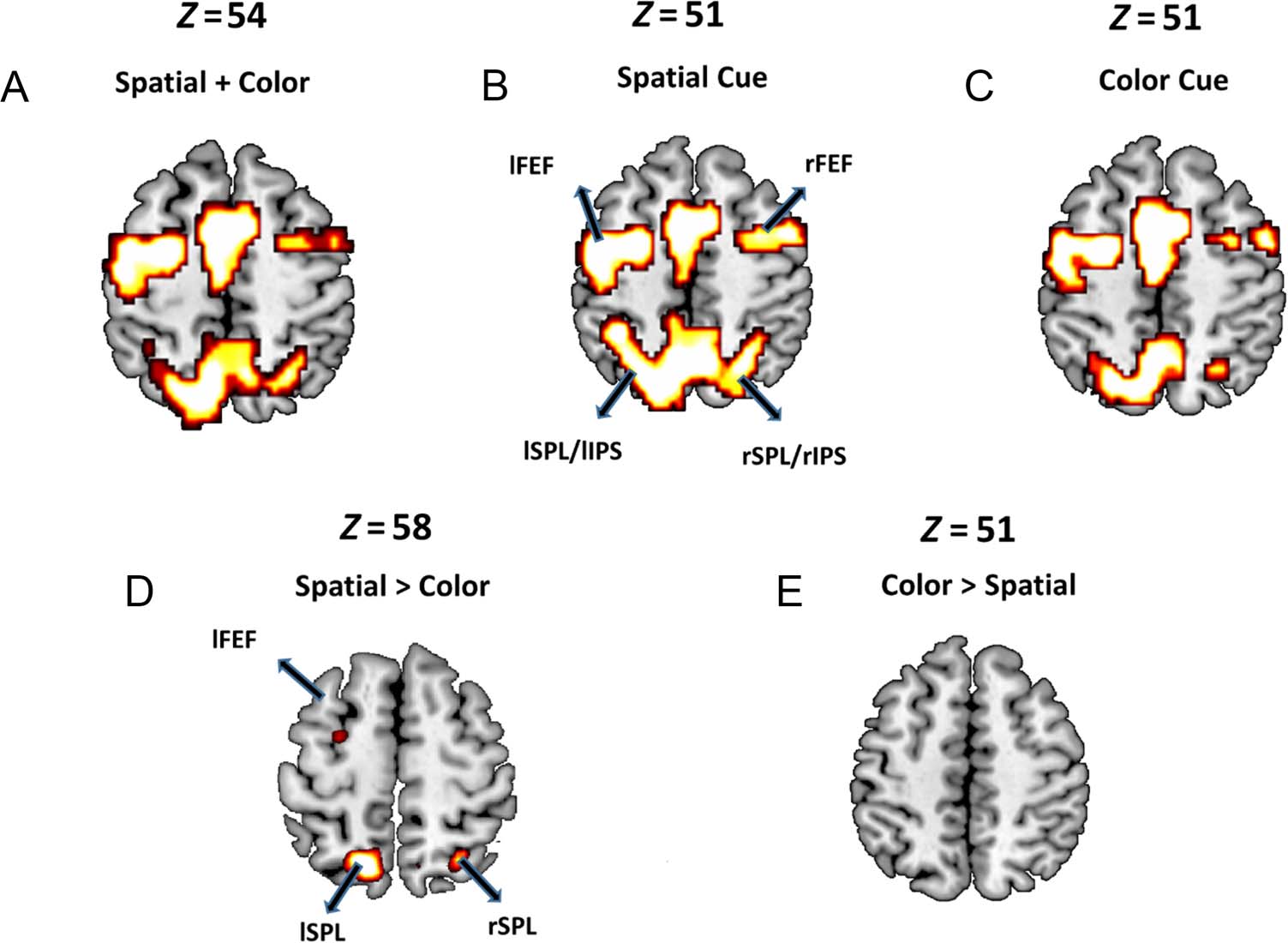 The Microstructure of Attentional Control in the image