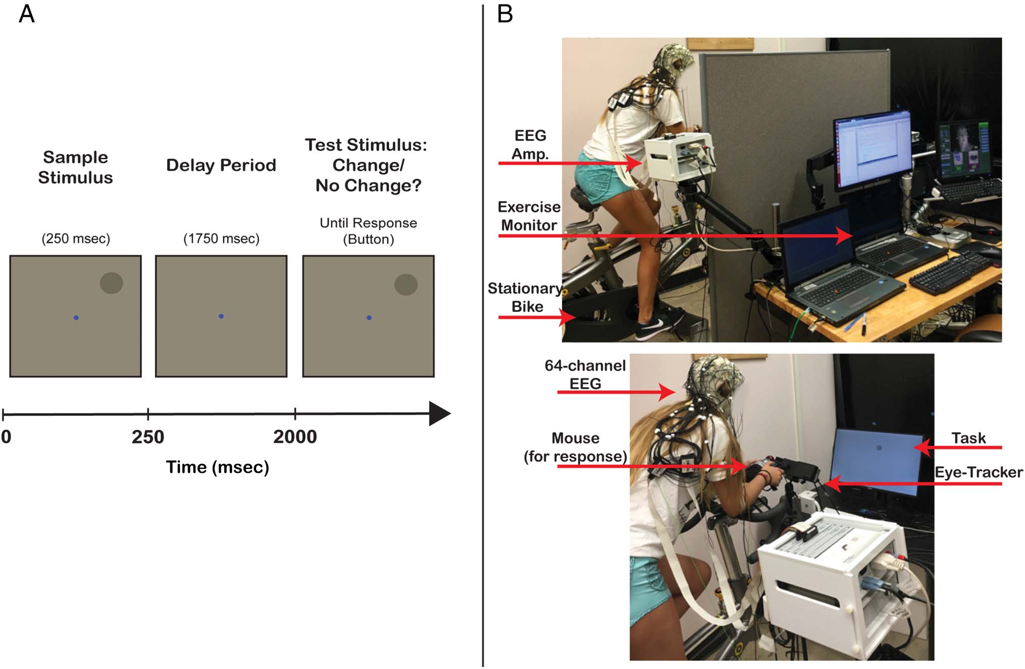 Tracking the Contents of Spatial Working Memory image