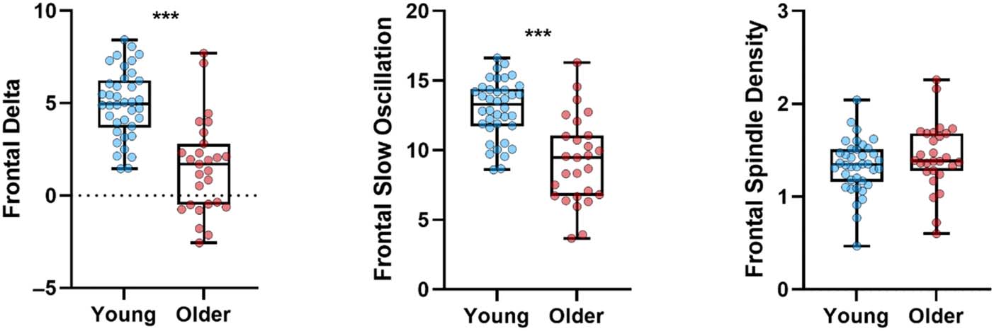 El futuro cerebro dormido: Age-Related Differences in image